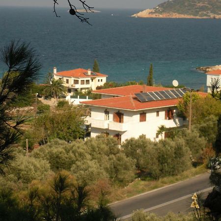 Kedros Hotel Samos Island Экстерьер фото
