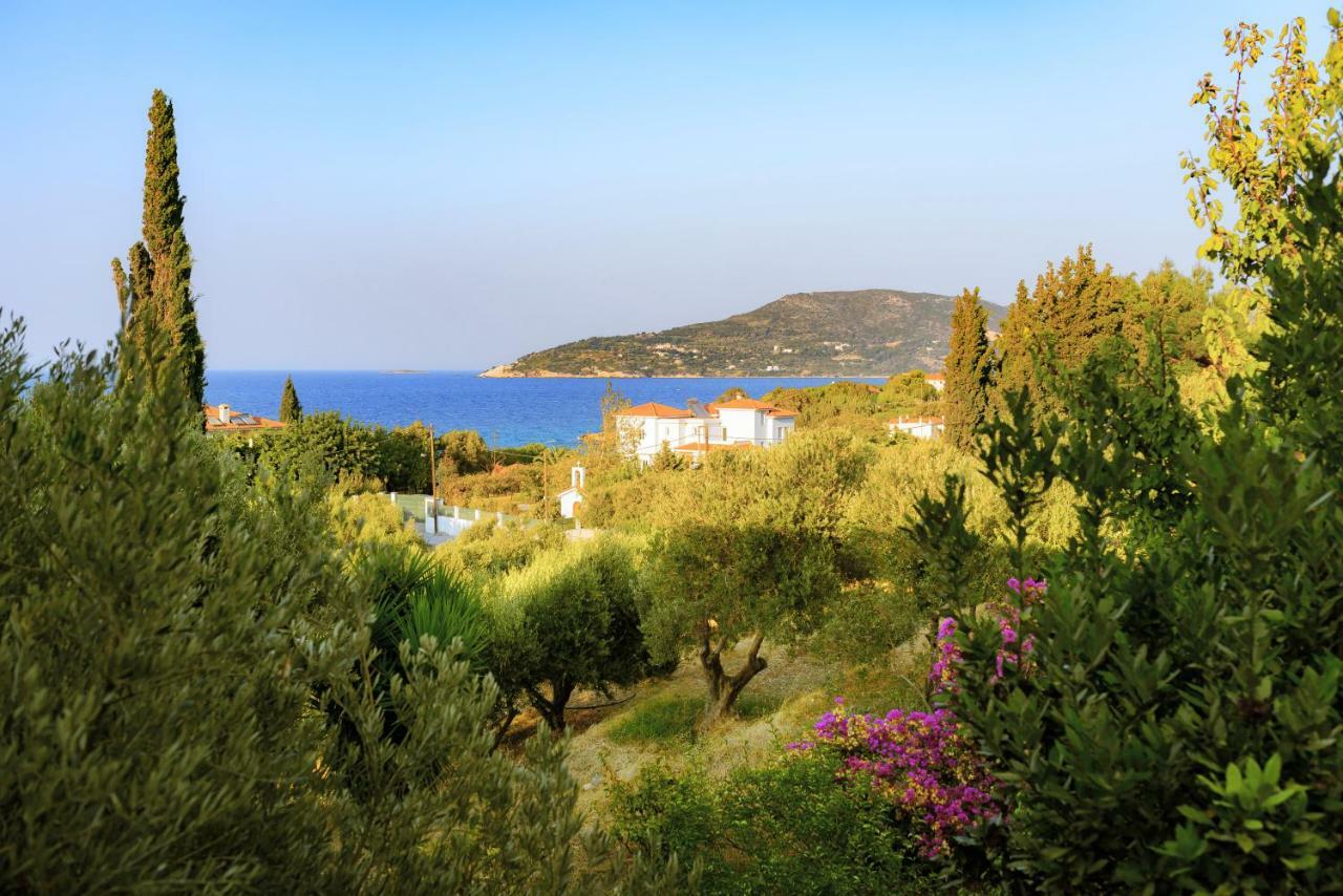 Kedros Hotel Samos Island Экстерьер фото